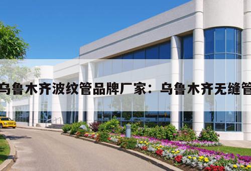 烏魯木齊波紋管品牌廠家：烏魯木齊無縫管