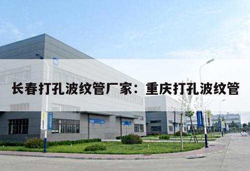 長春打孔波紋管廠家：重慶打孔波紋管